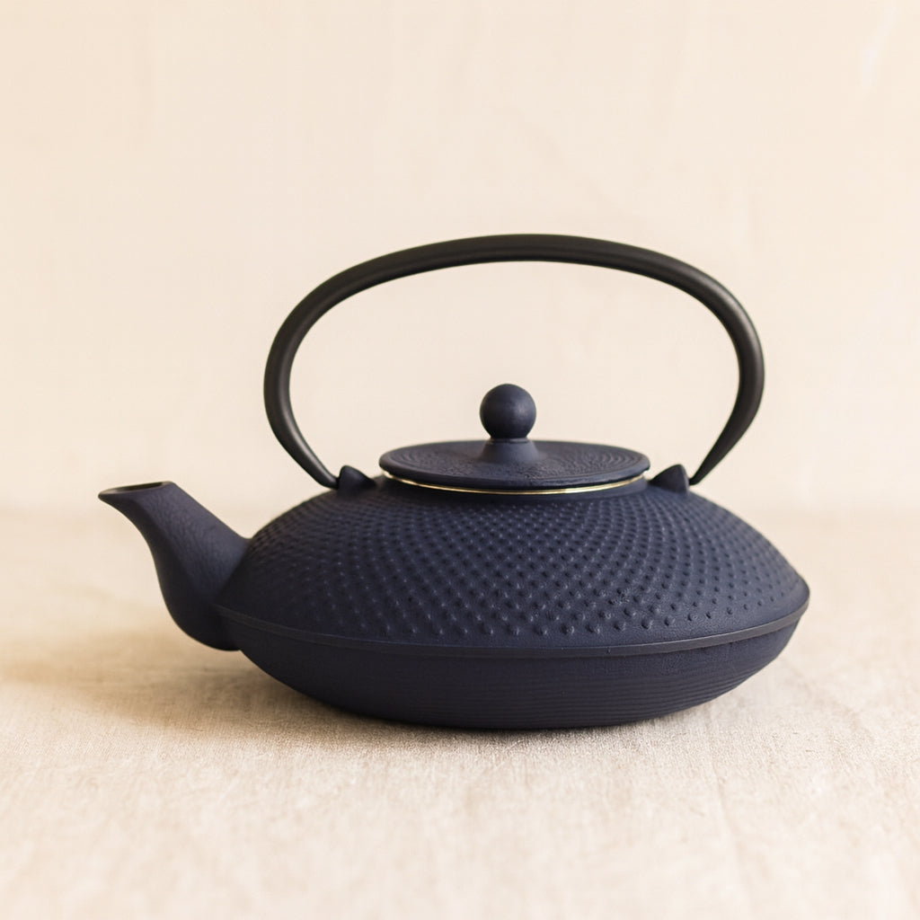 Théière De Type Japonaise Bleue En Fonte 0.8 Litre pas cher Théière De Type Japonaise Bleue En Fonte 0.8 Litre pas cher