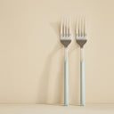 Lot de 6 fourchettes de table céladon 21cm en acier inoxydable Colorama